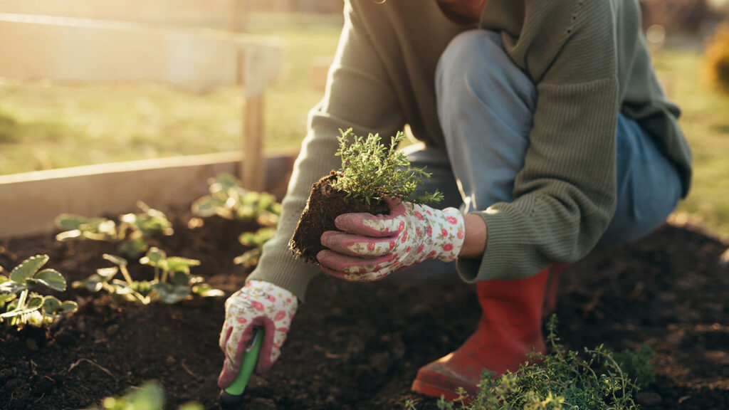 How to prevent back pain while gardening How to prevent back pain while gardening